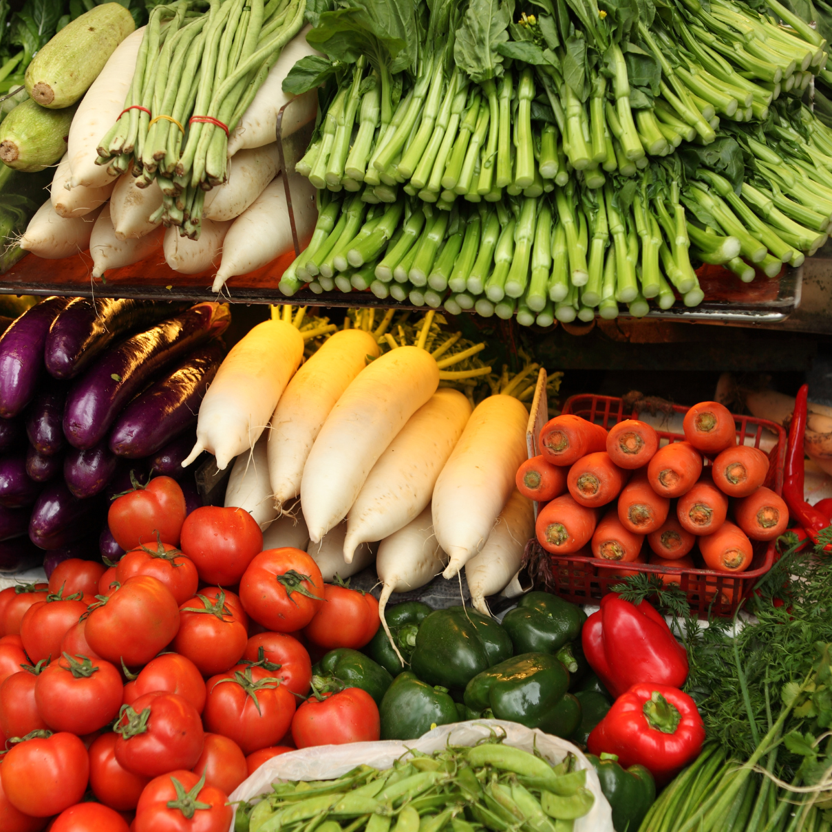 Wholesale Distribution