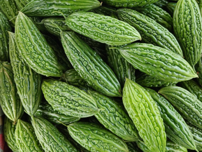 Bitter Gourd