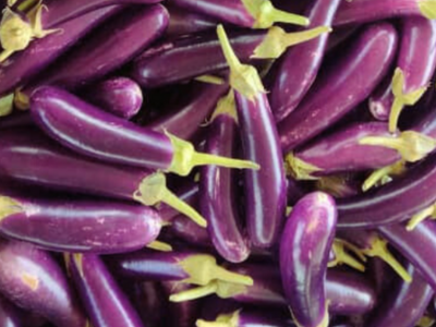 Brinjal-Eggplant
